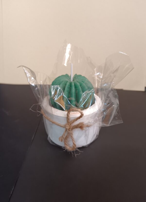 Catus Cement Candle - Image 3